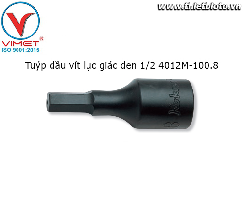 Tuýp đầu vít lục giác đen 1/2 4012M-100.8